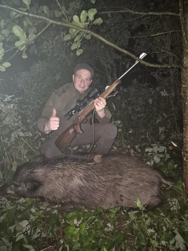 Jaukas šernams „Hog Wild“